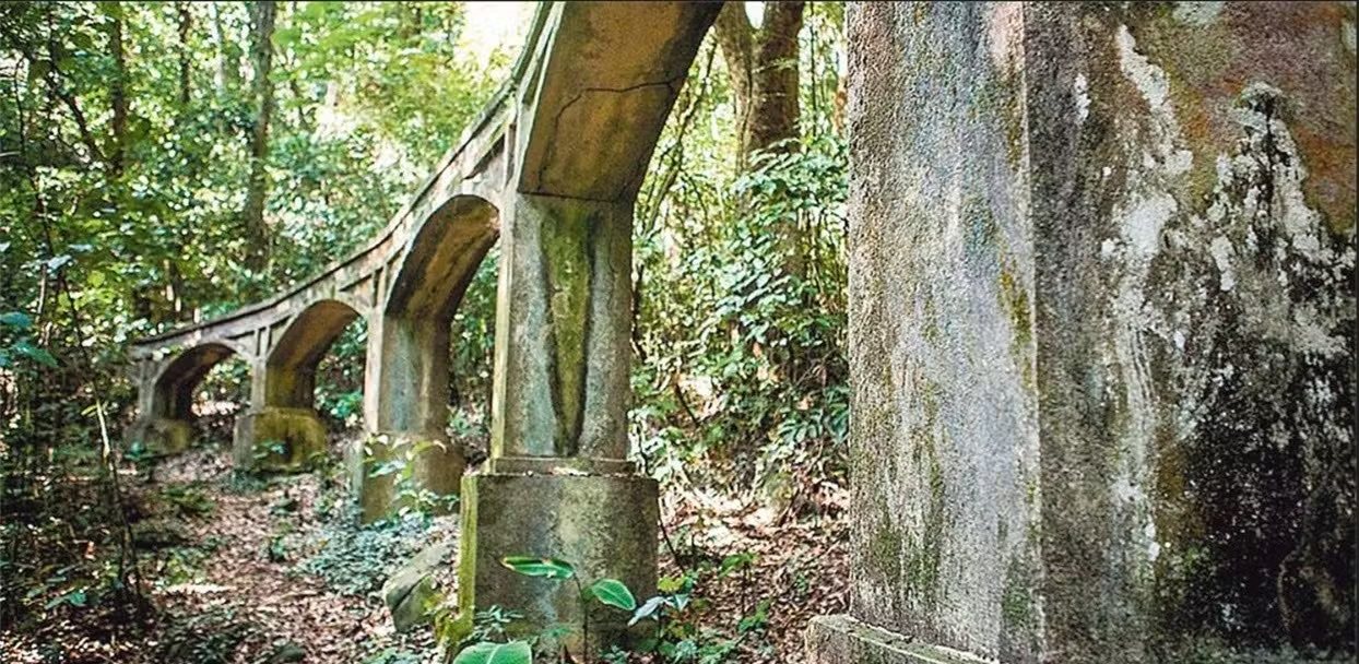 Arcos de una estructura histórica de acueducto entre la vegetación de Pedra Branca