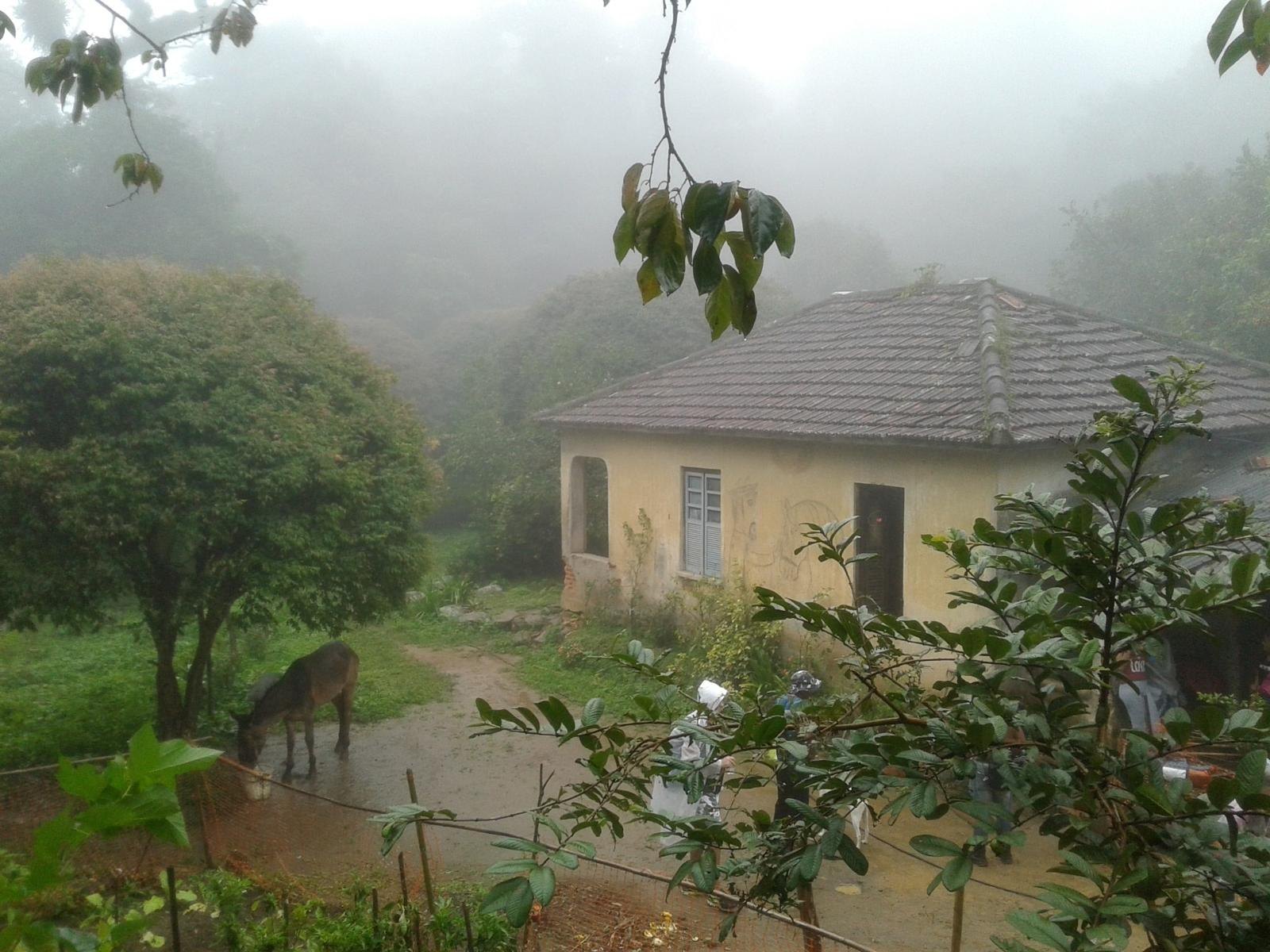 Rural house in the forest of the Pedra Branca massif