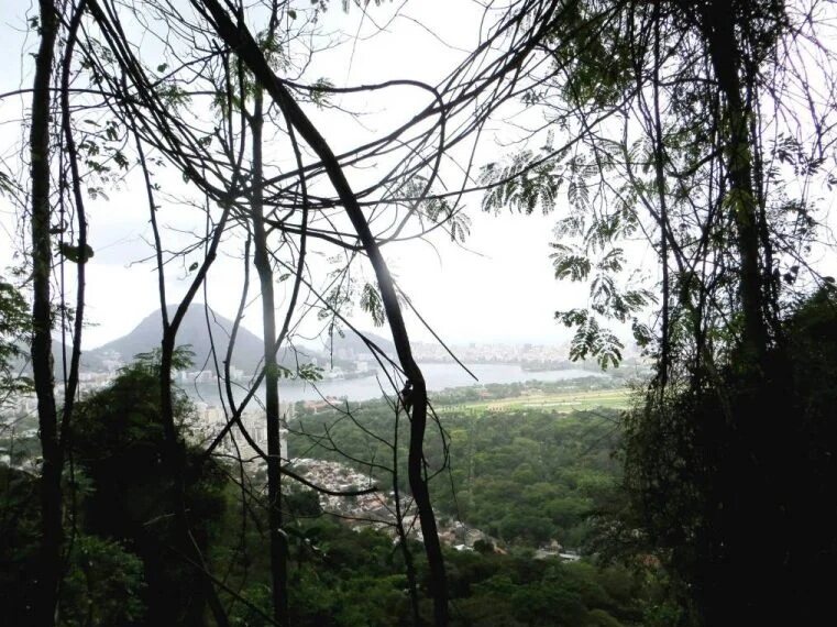 Vista entre la vegetación desde el Mirante do Horto hacia la ciudad